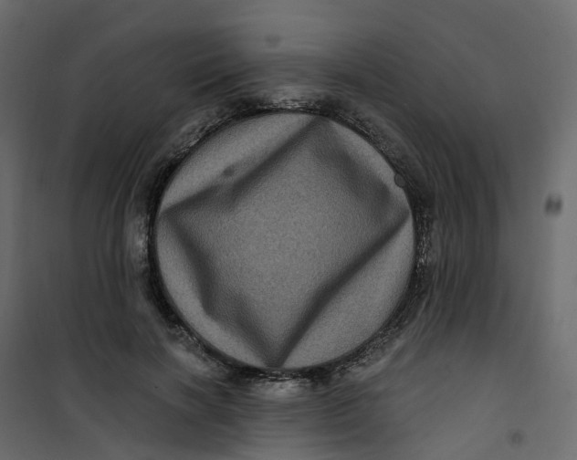 X0000101090646200807171849