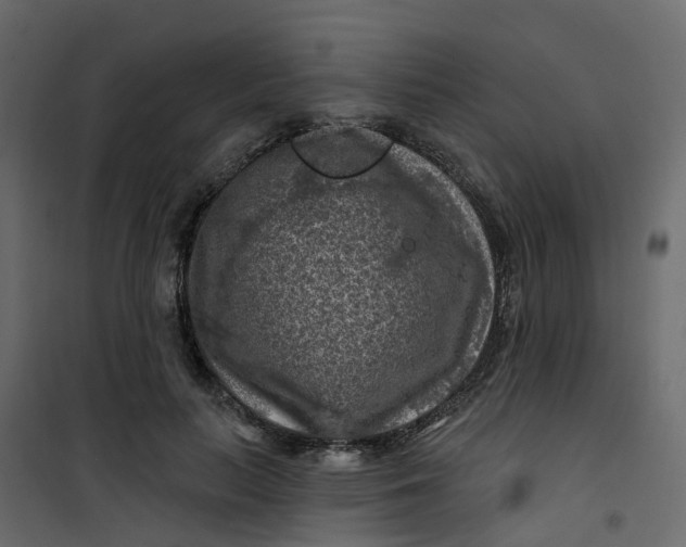 X0000101090647200807171849