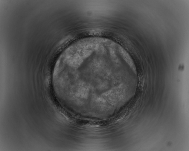 X0000101090648200807171849