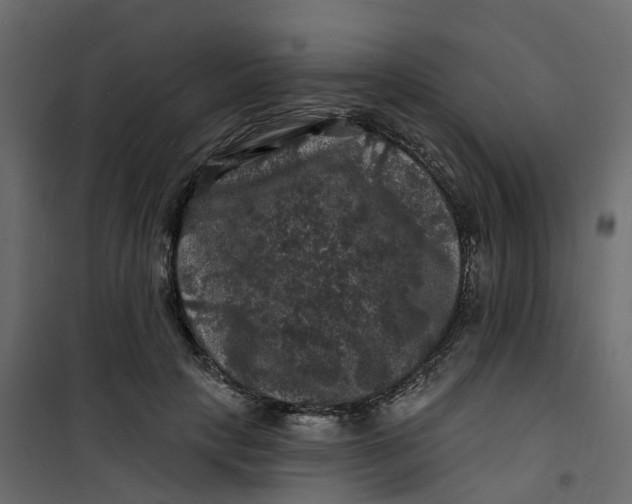 X0000101090649200807171849