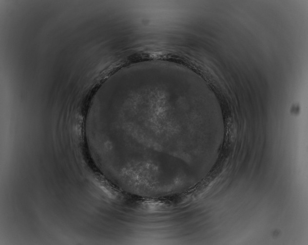 X0000101090650200807171849