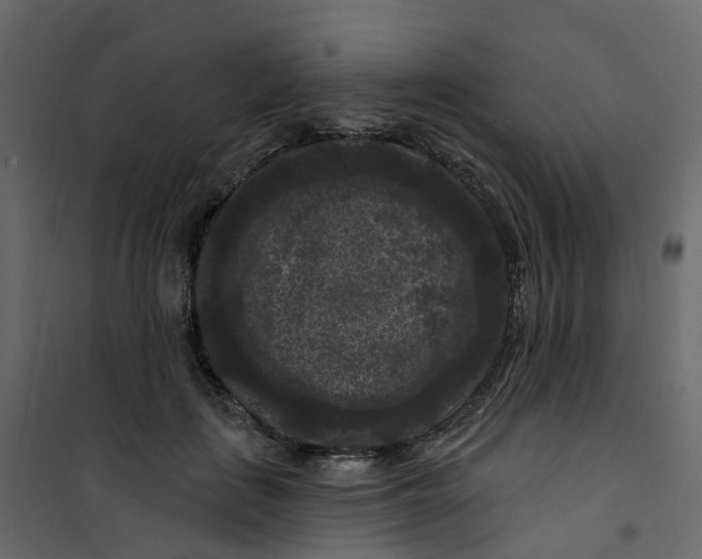 X0000101090651200807171849