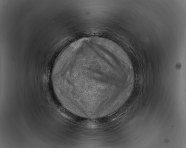 X0000101090652200807171849