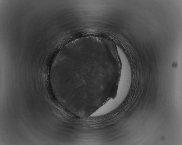 X0000101090653200807171849