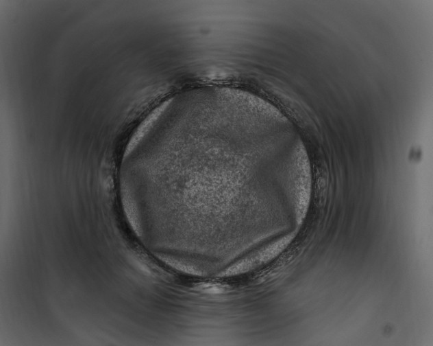 X0000101090654200807171849