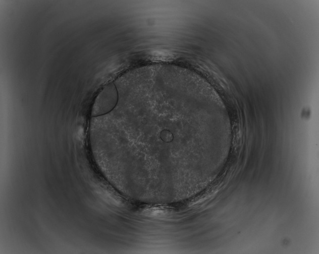 X0000101090655200807171849