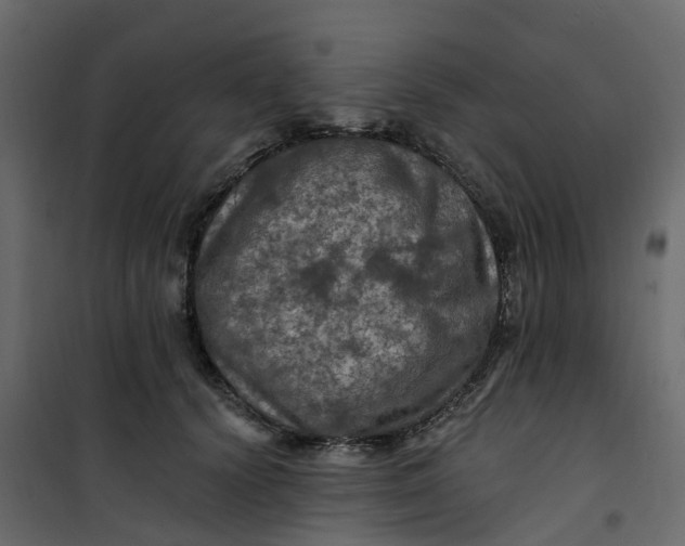 X0000101090656200807171849