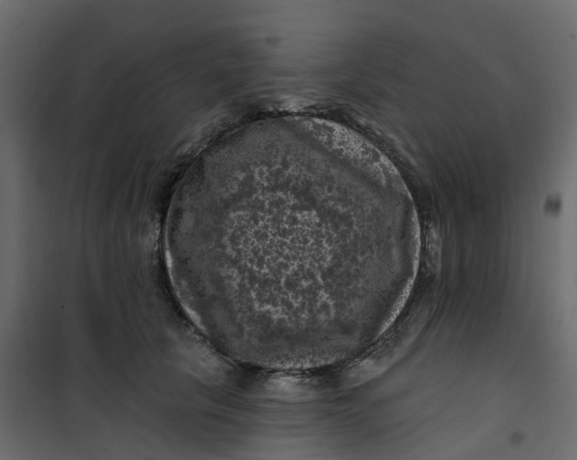 X0000101090657200807171849