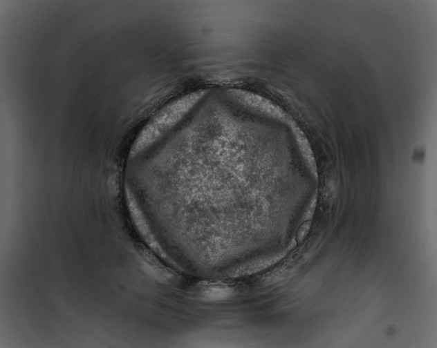 X0000101090658200807171849