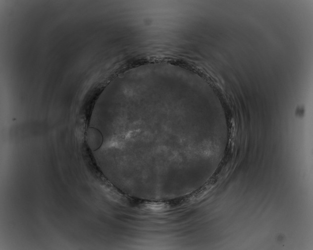 X0000101090659200807171849