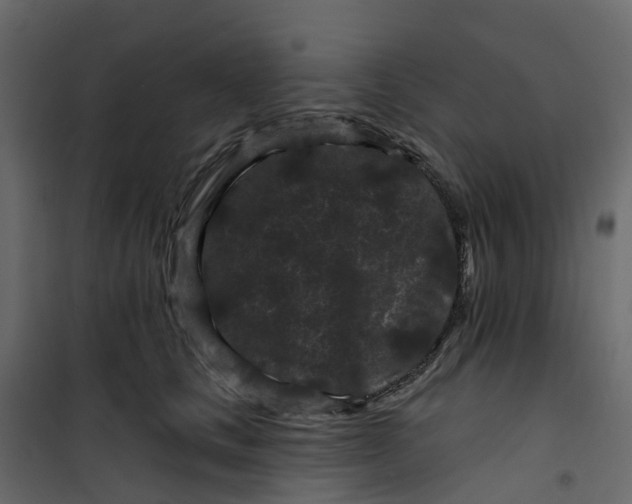 X0000101090661200807171849