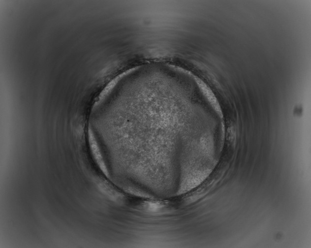 X0000101090662200807171849