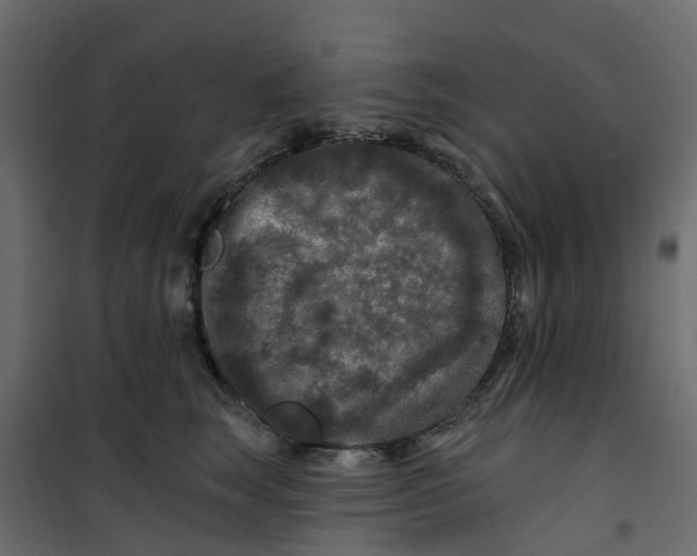 X0000101090663200807171849