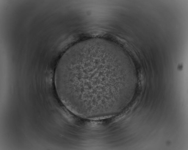 X0000101090664200807171849