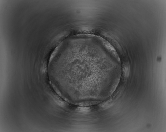 X0000101090665200807171849