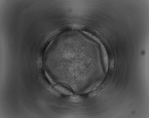 X0000101090666200807171849