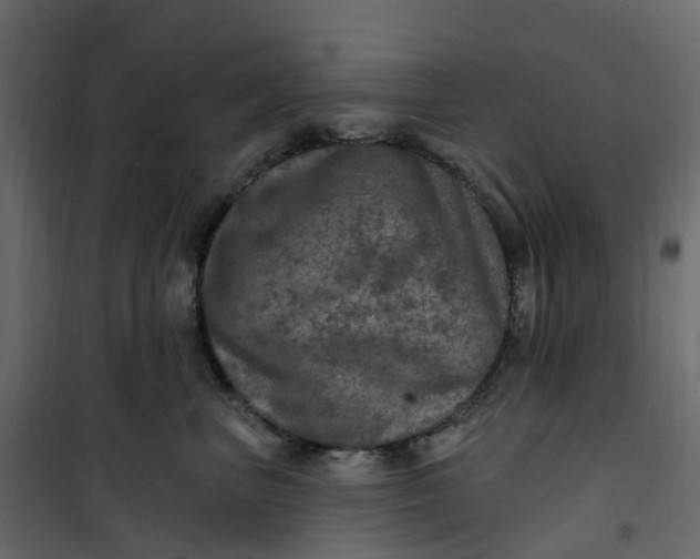 X0000101090667200807171849