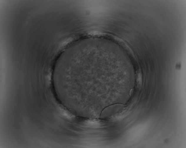 X0000101090668200807171849