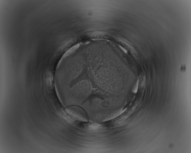 X0000101090669200807171849