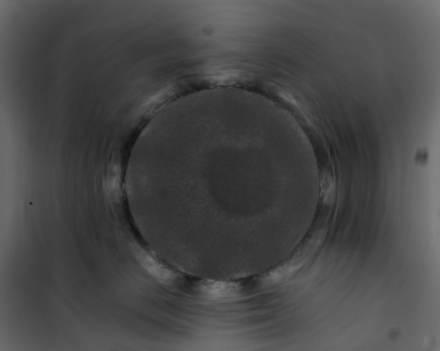 X0000101090670200807171849