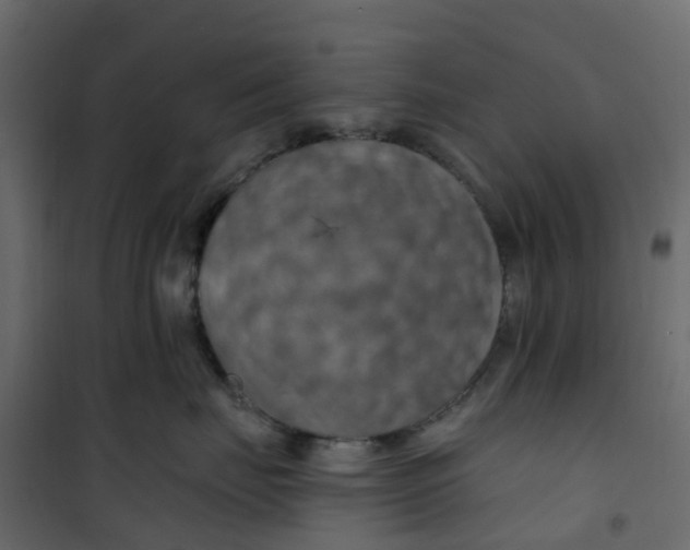 X0000101090671200807171849