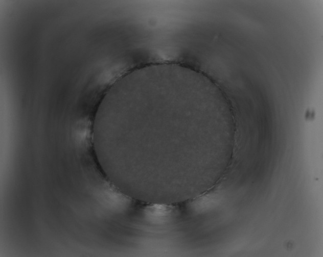 X0000101090672200807171849