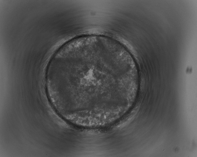 X0000101090673200807171848