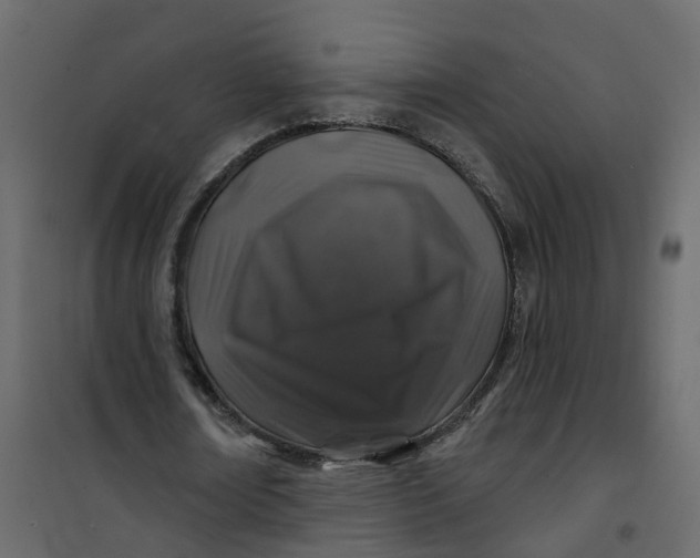 X0000101090674200807171848