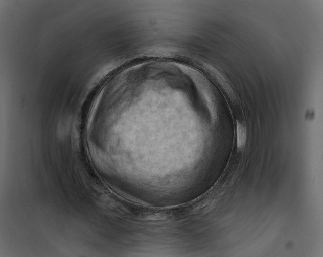 X0000101090675200807171848