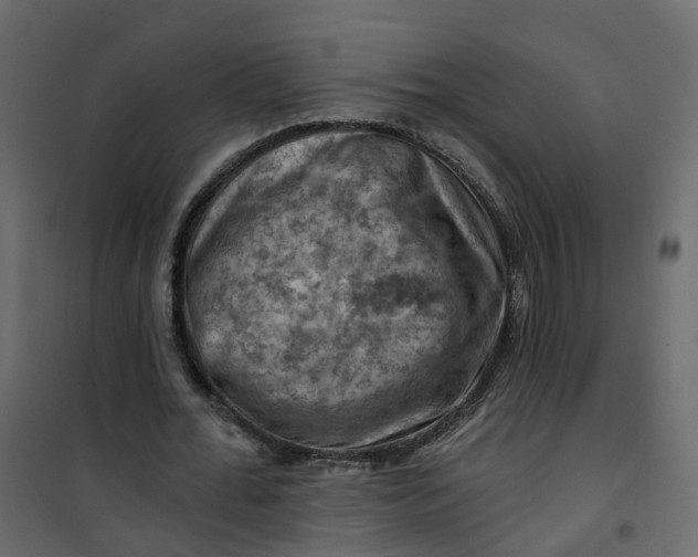 X0000101090676200807171848