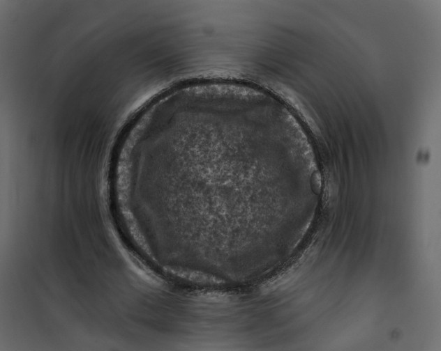 X0000101090677200807171848