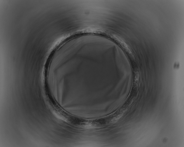 X0000101090678200807171848