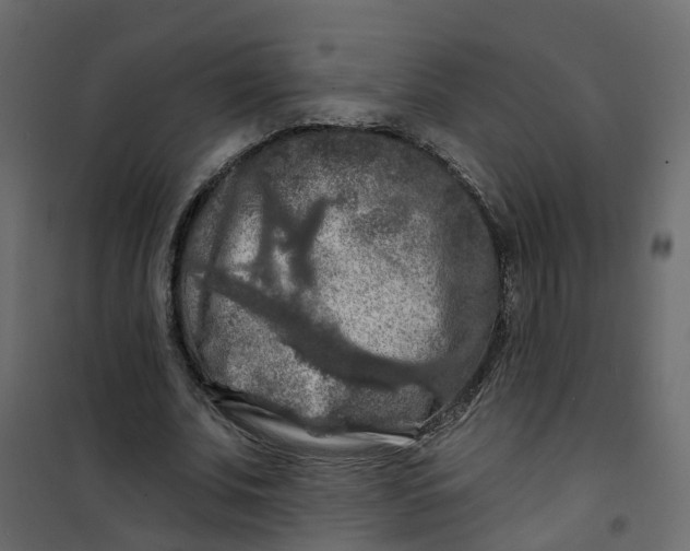 X0000101090679200807171848