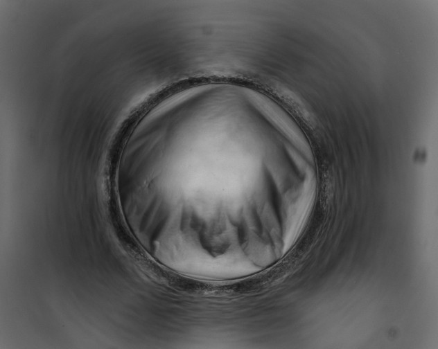 X0000101090680200807171848