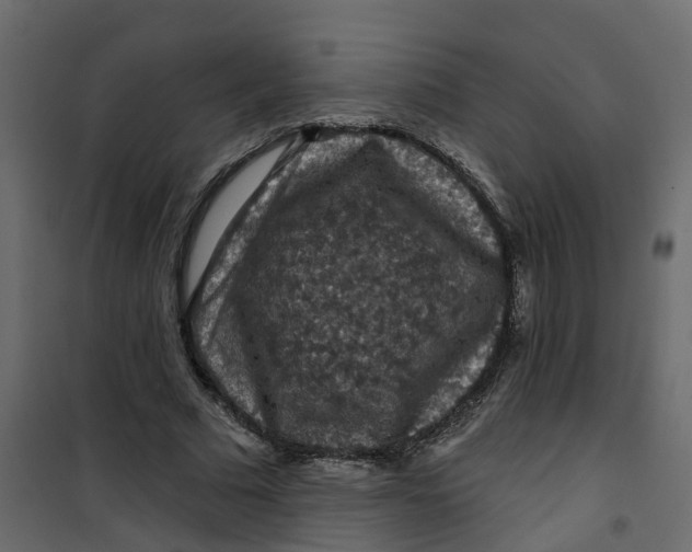 X0000101090681200807171848