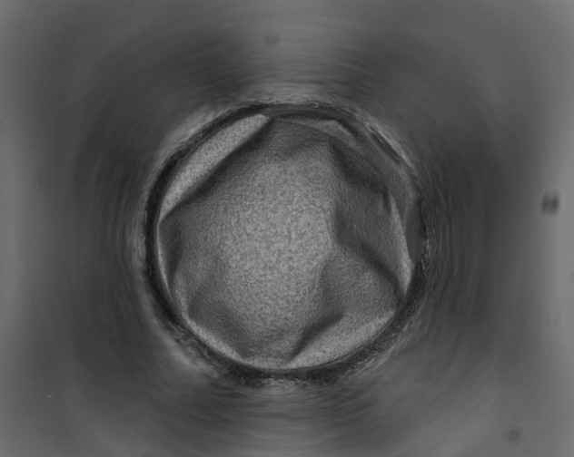 X0000101090682200807171848