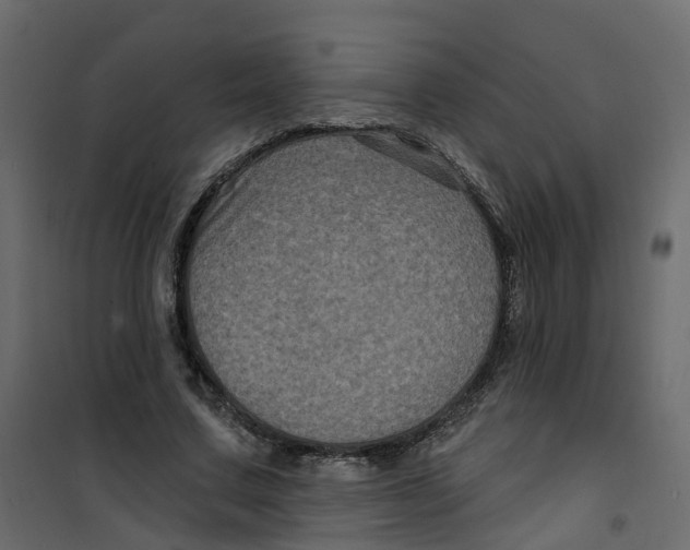 X0000101090683200807171848