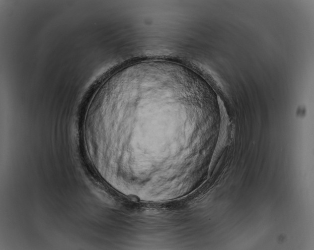 X0000101090684200807171848