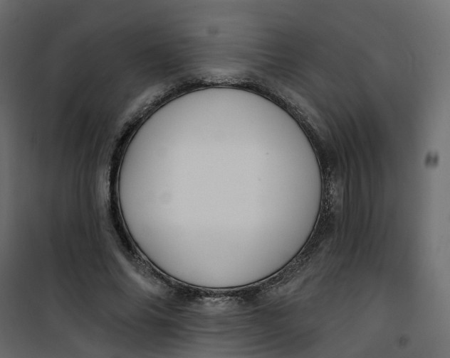 X0000101090686200807171848