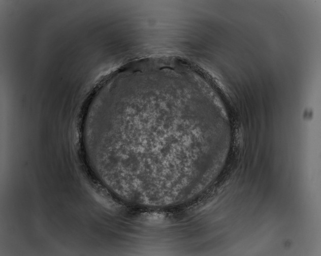 X0000101090687200807171848