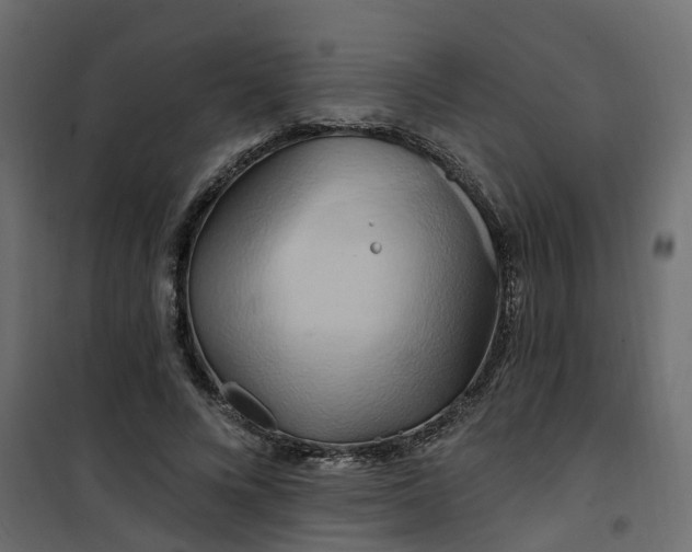 X0000101090688200807171848