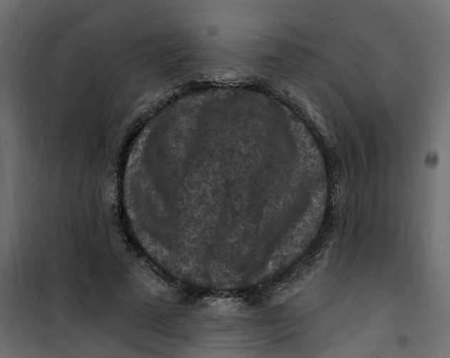 X0000101090689200807171848