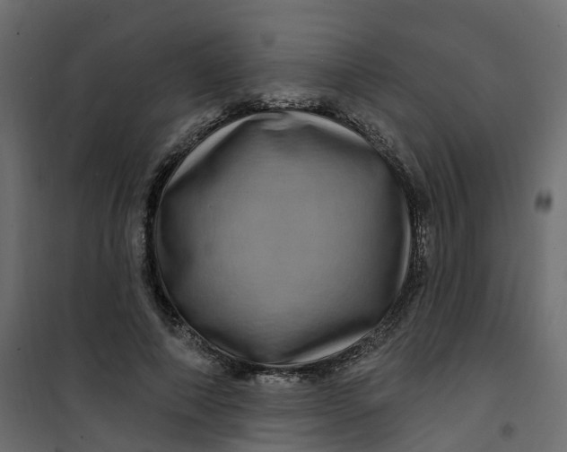 X0000101090690200807171848