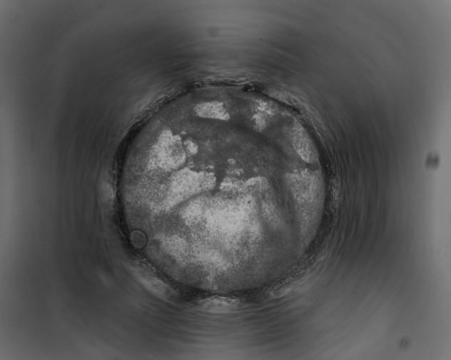 X0000101090691200807171848