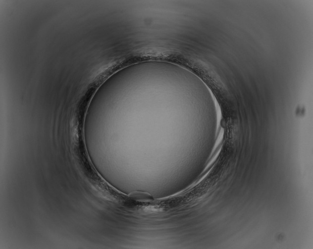 X0000101090692200807171848