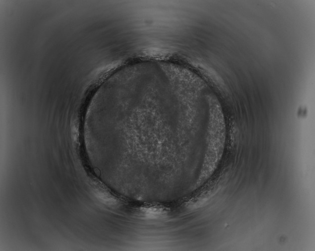 X0000101090693200807171848