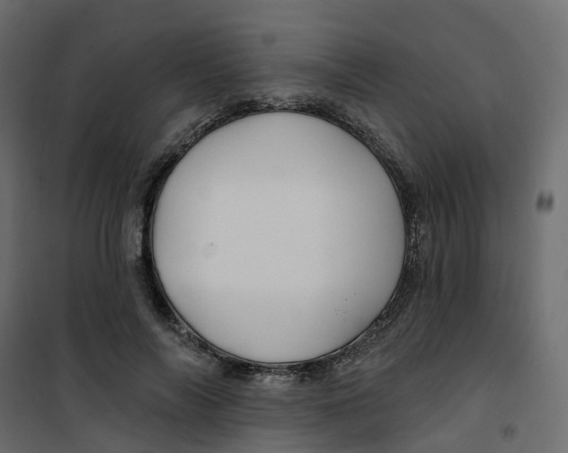 X0000101090694200807171848