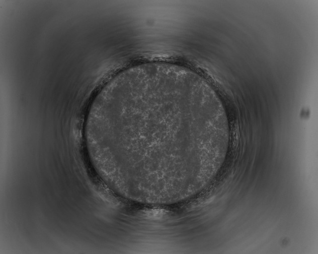 X0000101090695200807171848