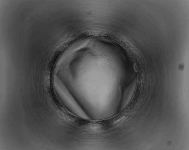 X0000101090696200807171848