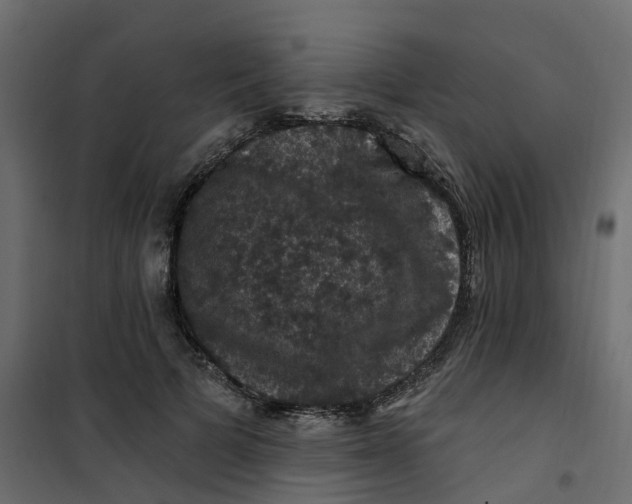 X0000101090697200807171848